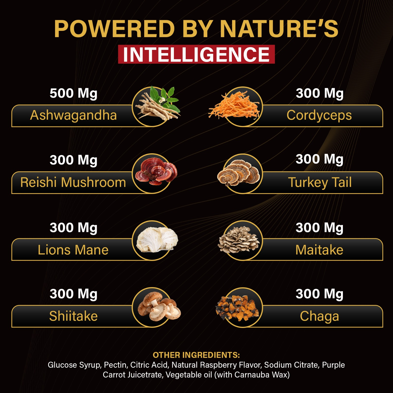 BrainRevive ingredient illustration: ashwagandha 500 mg and seven mushrooms 300 mg each per two-gummy serving